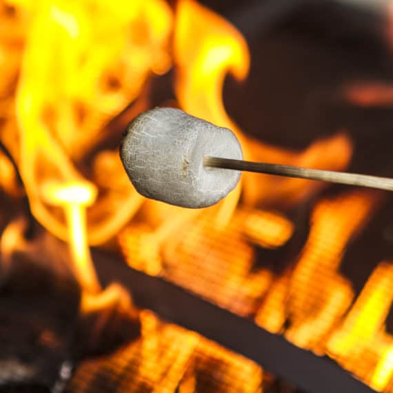 Marshmallow roasting at City Newsstand 2016